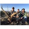 Image 5 : Spain: 5 Day 4 Night Big Game Hunt for 1 Hunter / Includes 1 Observer or $2,000 Trophy Fee Credit.