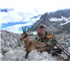 Image 9 : Spain: 5 Day 4 Night Big Game Hunt for 1 Hunter / Includes 1 Observer or $2,000 Trophy Fee Credit.