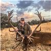 Image 2 : Spain: 3 Day Iberian Red Deer Hunt for One Hunter