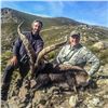 Image 6 : Spain: 3 Day Iberian Red Deer Hunt for One Hunter