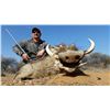 Image 7 : South Africa: 12 Day Plains Game Hunt for Two Hunters / Includes a $3,000 Trophy Fee Credit