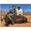 Image 2 : South Africa:10 Day Plains Game Hunt for 2 hunters / Includes 4 Trophies & $4,000 Trophy Fee Credit