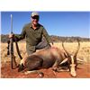 Image 7 : South Africa:10 Day Plains Game Hunt for 2 hunters / Includes 4 Trophies & $4,000 Trophy Fee Credit