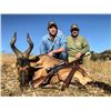 Image 8 : South Africa:10 Day Plains Game Hunt for 2 hunters / Includes 4 Trophies & $4,000 Trophy Fee Credit