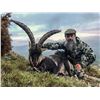 Image 1 : Spain: 4 Day 3 Night Bronze Medal Beceite Ibex Hunt for One Hunter