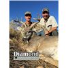 Image 3 : Arizona: 5 Day Trophy Coues Deer Muzzleloader Hunt for 2 Hunters