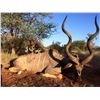 Image 1 : South Africa: 7 Day Plains Game Hunt for 2 Hunters / Includes 2 Trophy Kudu and Unlimited Bird Hunti