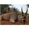 Image 3 : South Africa: 7 Day Plains Game Hunt for 2 Hunters / Includes 2 Trophy Kudu and Unlimited Bird Hunti