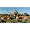 Image 6 : Argentina:4 Day All Inclusive Big Game Hunt for 1 Hunter/Includes 1 Free Range Red Stag 1 Wild Boar