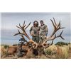 Image 9 : Argentina:4 Day All Inclusive Big Game Hunt for 1 Hunter/Includes 1 Free Range Red Stag 1 Wild Boar