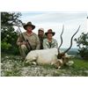Image 4 : Texas: 2 Day Trophy Sika Stag and Wild Boar Hunt for 1 Hunter & 1 Observer