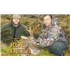 Image 11 : Spain:Trophy Big Game for 1 Hunter/Includes 1 of the following Roe, Red Deer, Fallow Deer or Mouflon