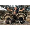 Image 3 : Mexico: 4 Day 5 Night Gould Turkey Hunt for 2 Hunters with Safari Unlimited