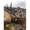 Image 3 : Oregon: 5 Day Big Game Hunt (Hunter's Choice) for One Hunter