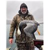 Image 2 : Alaska:  3 Day 3 Night Emperor Goose Hunt for 1 Hunter