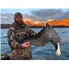 Image 4 : Alaska:  3 Day 3 Night Emperor Goose Hunt for 1 Hunter