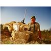 Image 1 : Argentina: 7 Day Big Game Hunt for Two Hunters - Includes Six Trophies