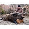 Image 2 : Argentina: 7 Day Big Game Hunt for Two Hunters - Includes Six Trophies