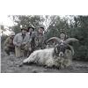 Image 3 : Argentina: 7 Day Big Game Hunt for Two Hunters - Includes Six Trophies
