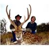 Image 5 : Argentina: 7 Day Big Game Hunt for Two Hunters - Includes Six Trophies