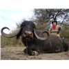 Image 6 : Argentina: 7 Day Big Game Hunt for Two Hunters - Includes Six Trophies