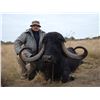 Image 7 : Argentina: 7 Day Big Game Hunt for Two Hunters - Includes Six Trophies