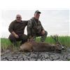 Image 5 : Serbia: 5 Day 6 Night Roe Deer Hunt for 1 Hunter & 1 Observer (or Two Hunters), includes 1 Roe Deer