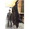 Image 3 : Florida: 1 ½ Days and 1 Night Hog-Dogging Wild Boar Hunt for Four Hunters Includes the Trophy Fee fo