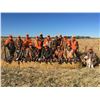 Image 4 : South Dakota: 3 Day 3 Night Pheasant Hunt for 4 Hunters