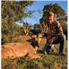 Image 1 : Texas:  3-Day/2-Night Whitetail Deer & Exotic Combo Hunt for 2 Hunters, Including a $6,000 Trophy Fe