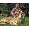 Image 4 : Texas:  3-Day/2-Night Whitetail Deer & Exotic Combo Hunt for 2 Hunters, Including a $6,000 Trophy Fe