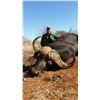 Image 2 : South Africa: 7 Day Cape Buffalo Hunt for 2 Hunters  / Includes 2 40" Plus Cape Buffalo "Buy it Now"