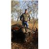 Image 3 : South Africa: 7 Day Cape Buffalo Hunt for 2 Hunters  / Includes 2 40" Plus Cape Buffalo "Buy it Now"
