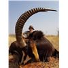 Image 1 : South Africa: 10-Day Plains Game Safari for Two Hunters, Includes a $5000 Trophy Fee Credit
