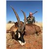 Image 5 : South Africa: 10-Day Plains Game Safari for Two Hunters, Includes a $5000 Trophy Fee Credit