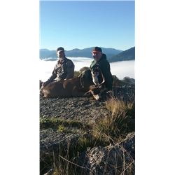 5 Day Blacktail Deer Hunt for 2 Hunters