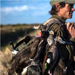 4 Day/3 Night, 6 Hunts High Volume Dove Shooting for Four People