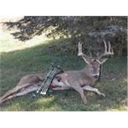 3 Day Whitetail Buck Management Up to 145” Hunt for One Hunter and One Guest + Mgt Doe