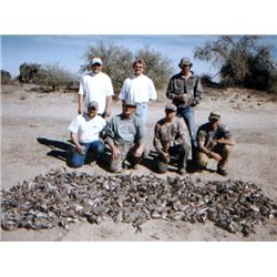 3 Day/4 Night Guided Dove, Quail, & Yellowtail Fishing  for Two Hunters & Two Observers
