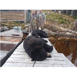 6 Day Fly-In Moose/Black Bear Combo for One Hunter