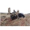 Image 2 : 6 Day Fly-In Moose/Black Bear Combo for One Hunter
