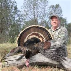 3 Day Rio Grande Turkey & Wild Hog Hunt for One Hunter