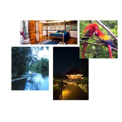 8 Day/7 Night Wild Belize at the Cotton Tree Lodge for Two People