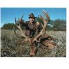 Image 3 : Argentina Red Stag hunt for 2 hunters