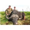 Image 2 : 7 days / 8 nights hunt for 1 hunter for Cape Buffalo