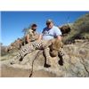 Image 1 : A Leopard hunt with Hawk-Eye Safaris and Jacobus van der Merwe