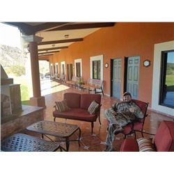 Sonora Mule Deer Hunt