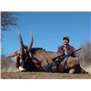 Image 2 : Roan hunt in South Africa for one hunter visiting 12 Days