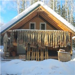 Canadian Trap Line Adventure with Mawhegan Outfitters.