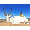 Image 3 : 7 DAY SPRINGBOK OR BLESBUCK GRAND SLAM PACKAGE for 2 HUNTERS